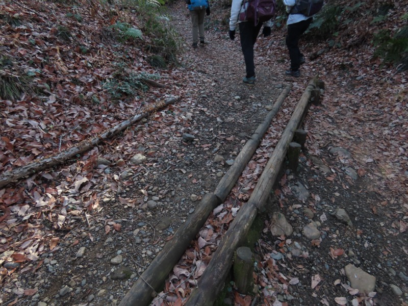 日和田山、物見山